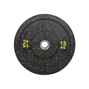 Fleck Bumper Plate